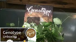 Genotype: A Mendelian Genetics Game - Collector's Edition (Unboxing)