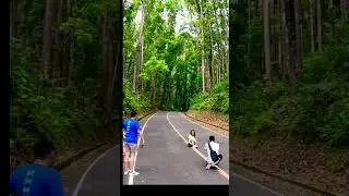 bohol tour destinations! chocolate hills, tarsier,man made forest, loboc river, and more!!