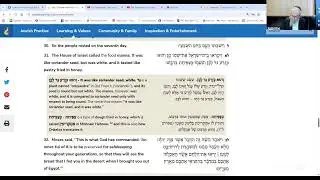 Torah Portion Beshalach, 6th Portion