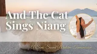 And The Cat Sings Niang | A Sonic Sound Medicine Transmission (GoDivinity Lucy)