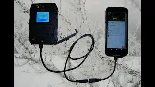 Копирование изображений из фотоловушки в Андроид-смартфон