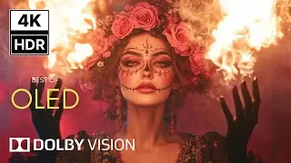 The Craziest Dolby Vision Experience in 4K HDR | Ultra HD 120FPS Demo
