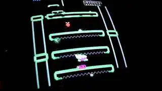 Donkey Kong Jr bootleg (Moon Cresta Hardware )