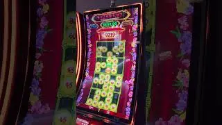 Prosperity Link Major Ball Win. $1000.40