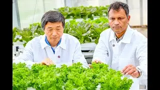 Controlled Environment Agriculture and a Bridge Between Sectors, Academia and Industries