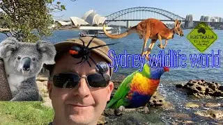 Sydney Wildlife World Tour of Australias famous animals