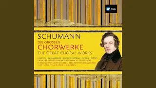 Mass Op. 147 (Live) : III Credo