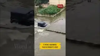 Anand Mahindra Tweets Video of 'Amphibious Creature' in Chennai's Floodwaters | Word Of India ||