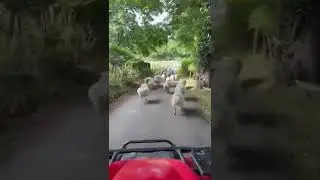 The Bank Holiday traffic here in North Wales is a bad nightmare