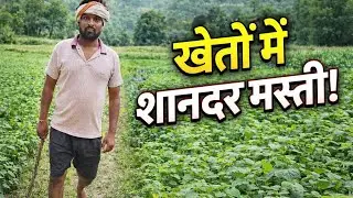 Shehar Chhod Kar Gaon Ke Kheton Mein | Dil Ko Chu Jane Wala Vlog 🌾