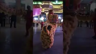 Chinese Lantern Festival 2023. #china #expatlife #happynewyear2023  #exploringculture