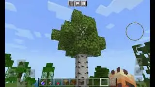 prettys beautiful birch biome