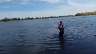 Жерех на спиннинг с берега, река Самара