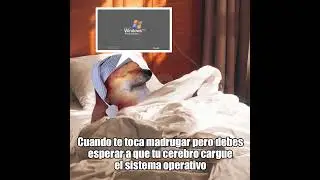 #cheems