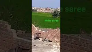 white saree ghost near the tree 🌳🌳🌲🌲🌴🌴 #shorts#newideas#