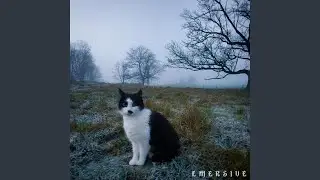 Bit Crushed