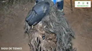 SIGUI DE TIENKO