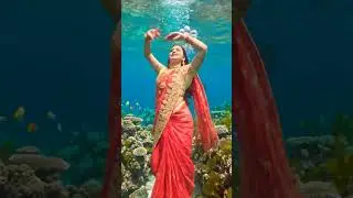 #trending #viral #viralvideo #video #trendingshorts #teridulhansajaungi #cat #sad #lifeisbutadream