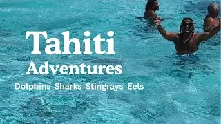 Tahiti Cruise Excursions You Can’t Miss! Moorea, Bora Bora, Huahine & Raiatea Adventures