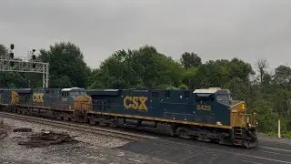 [60 FPS] 13 Trains in 2 Hours Long Bridge Park Arlington Virginia June 2025