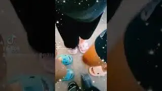 Baby Shark Slides!