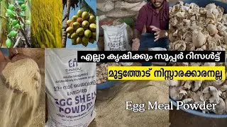 Egg Meal Powder- ഏലം നെല്ല് തെങ്ങ് കപ്പ വാഴ , പൂച്ചെടികൾ   എല്ലാ കൃഷിക്കും സൂപ്പർ റിസൾട്ട്