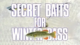 Secret Baits for Winter Bass