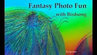 Fantasy Photo Fun