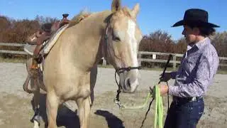 KT's Training Tips - Yielding Hindquarters and Forequarters