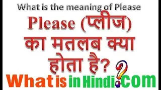 What is the meaning of Please in Hindi | Please ka matlab kya hota hai