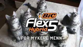 BIC FLEX5 Hybrid. BARBERH&Oslash;VEL FOR MYKERE MENN