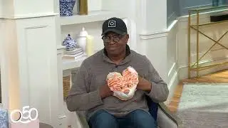 DEMDACO Heartful Hugs Weighted Plush Animal Heart Pillow on QVC