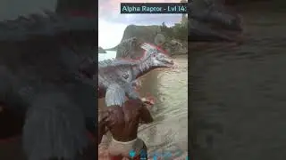 Alpha raptor ark survival evolved mobile #subscribe #like