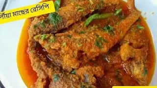 পৌঁয়া মাছের দোপিঁয়াজা। পৌঁয়া মাছ ভুনার অসাধারণ রেসিপি 