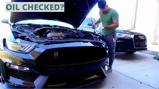How To Check Your Oil On A GT350.