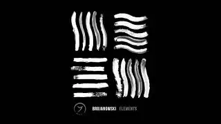 Brojanowski - Voyage of Time