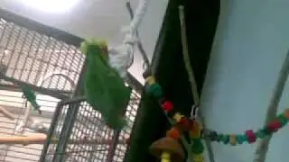 29062009