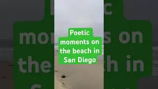 Wet sand, light feathers | Poetic moments on the beach in San Diego