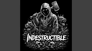 Indestructible