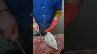 How to Cut a Spangled Emperor Fast (Market Style Knife Techniques)