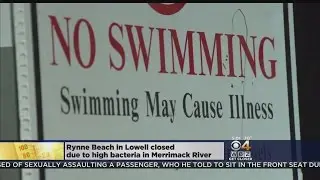 Lowell's Rynne Beach Closed Due To High Bacteria