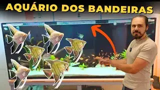 🔴AQU&Aacute;RIO DE 450 LITROS DO INSCRITO RODRIGO |Mr. Betta|