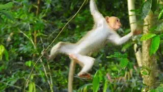 Elpida she is playing on the tree looking so happy.
