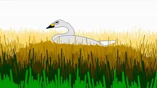 清水東地区のコハクチョウ　※コハクチョウの観察教材