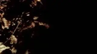 Marsen Jules & Johannes Braun - Brouillard
