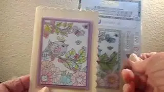 DOLLAR TREE HAUL.......Hampton Stamp Sets!!