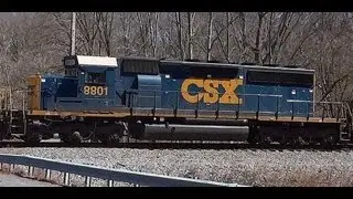 CSX Train Q398 Crossing Newport Road