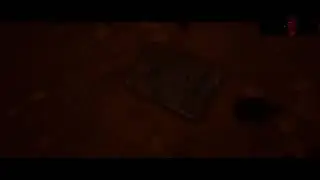 House Of Ashes Curator cut