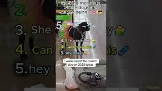 Ranking moments where dogs are caught being cool😎 #funny #cutedog #pets #dogcute #dog #foryou  #pet