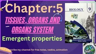 9th biology new book 2025|| chapter 5|| Emergent properties||#9thnewbiology